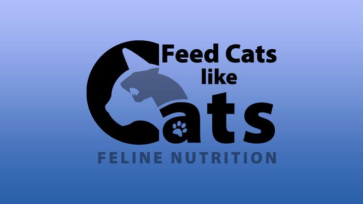 logo cover photo for feed cats like cats Facebook group