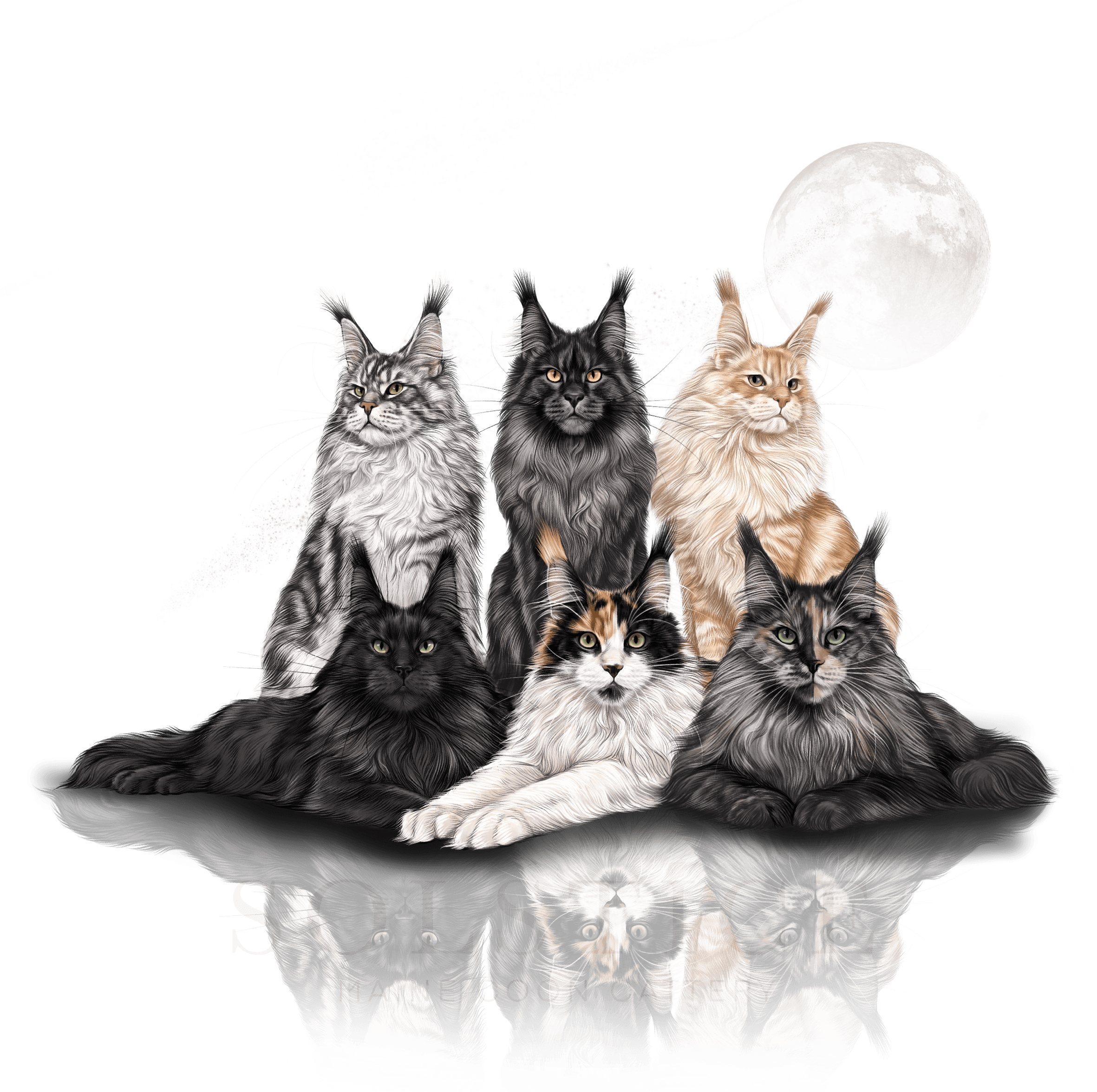 Solstice Maine Coon Cats Sires and Queens Illustration with Moon