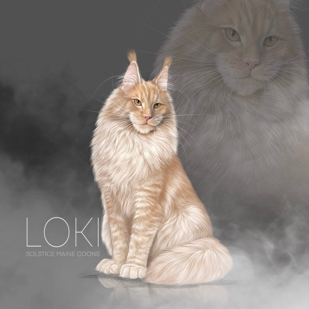 cream smoke maine coon sire illustrated by ploarts